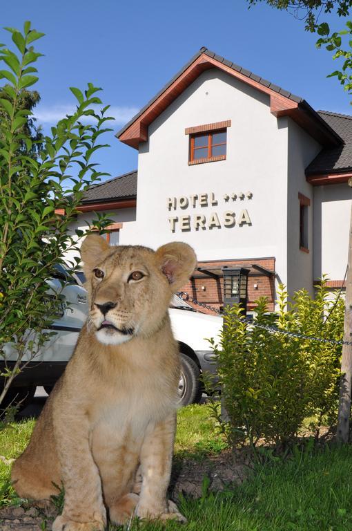 Hotel Terasa Frýdek-Místek المظهر الخارجي الصورة